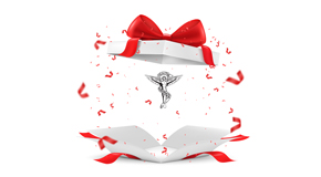 Sitka chiropractic care as  a gift