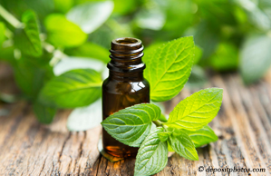 Sitka peppermint pain relieving benefits